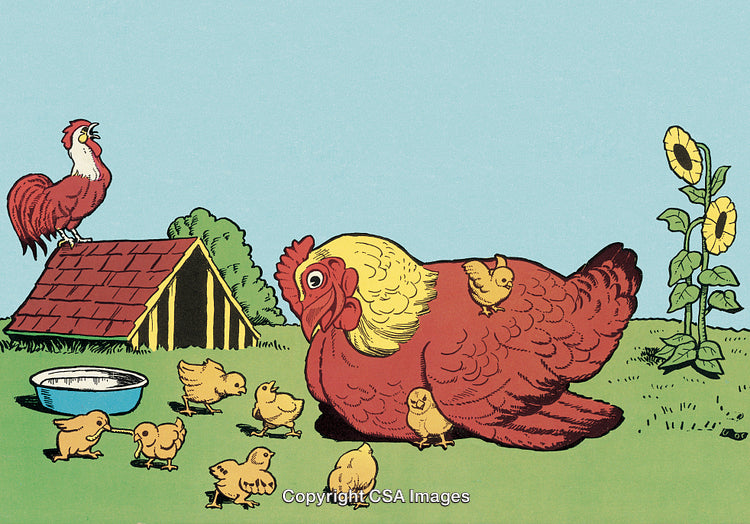 Farmyard Scene with Hen, Chicks, Rooster, and Sunflowers in a Vibrant Illustration