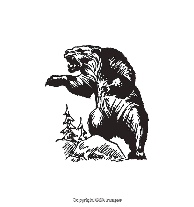 Black and White Line Art of a Bear in Nature Setting
