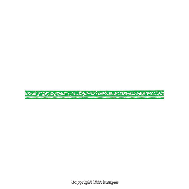 Green Decorative Border With Patterned Design on a White Background