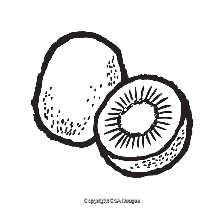 Black and White Line Art Illustration of a Fresh Kiwi Fruit