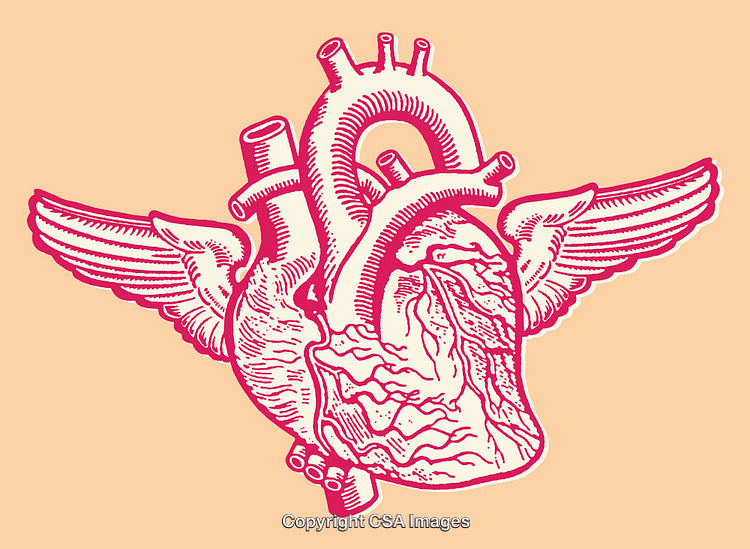 Anatomical Heart Illustration with Wings in Colorful Line Art Style