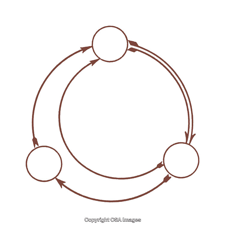 Circular Diagram with Interconnected Nodes and Arrows in Minimalist Style