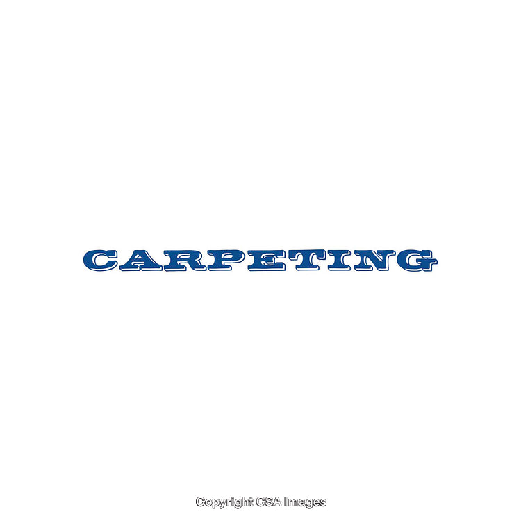 Blue Text Depicting the Word Carpeting on a White Background