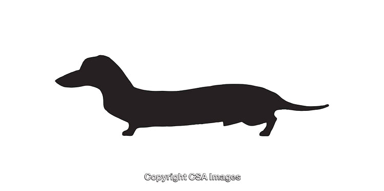 Black Silhouette of a Dachshund Dog in Profile View