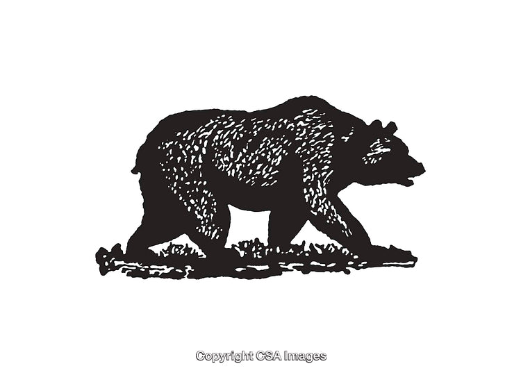 Detailed Black and White Line Art Illustration of a Bear in Side View