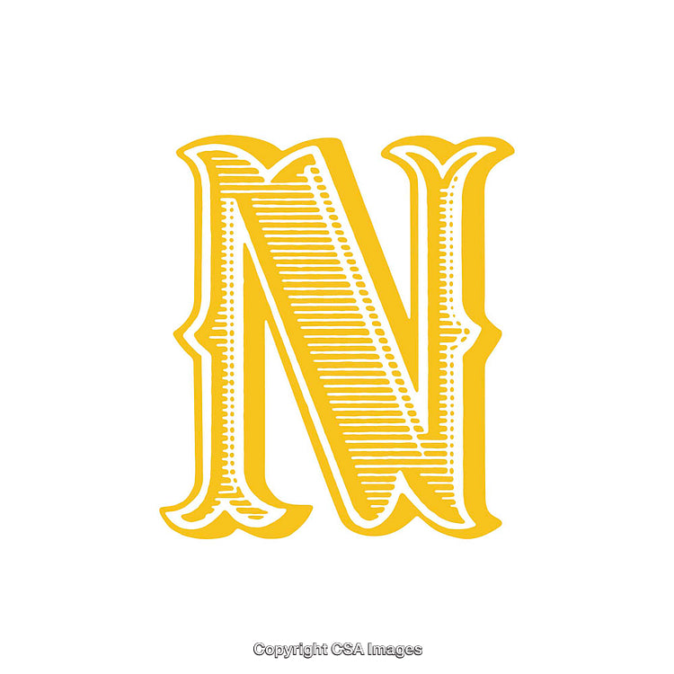 Elegant Yellow Ornate Letter N on White Background