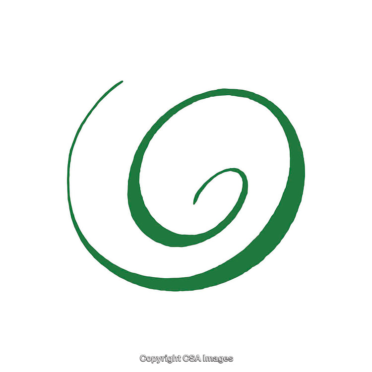 Simple Green Spiral Design on a Clean White Background