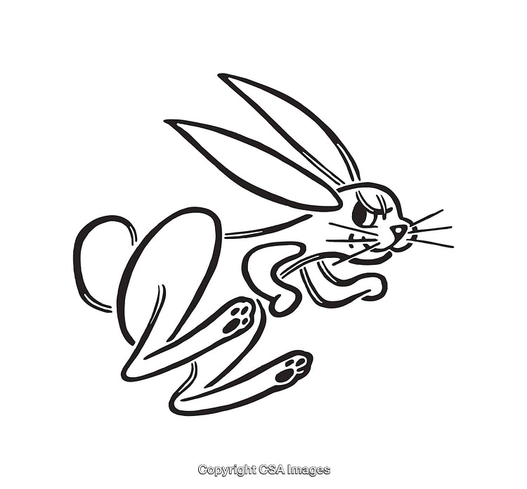 Dynamic Black and White Line Art Illustration of Running Rabbit