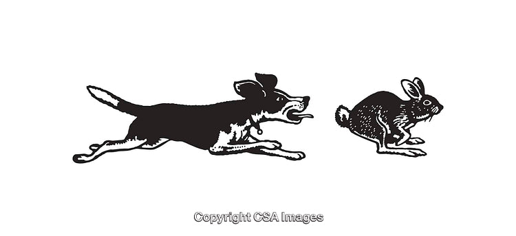 Black and White Line Art of Dog Chasing a Rabbit