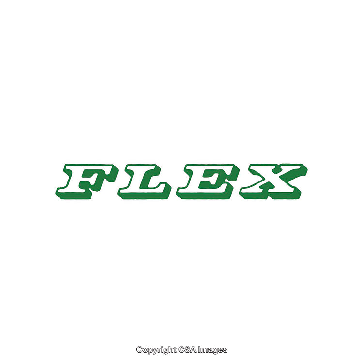 Bold and Modern Green Text Reading 'Flex' on a White Background