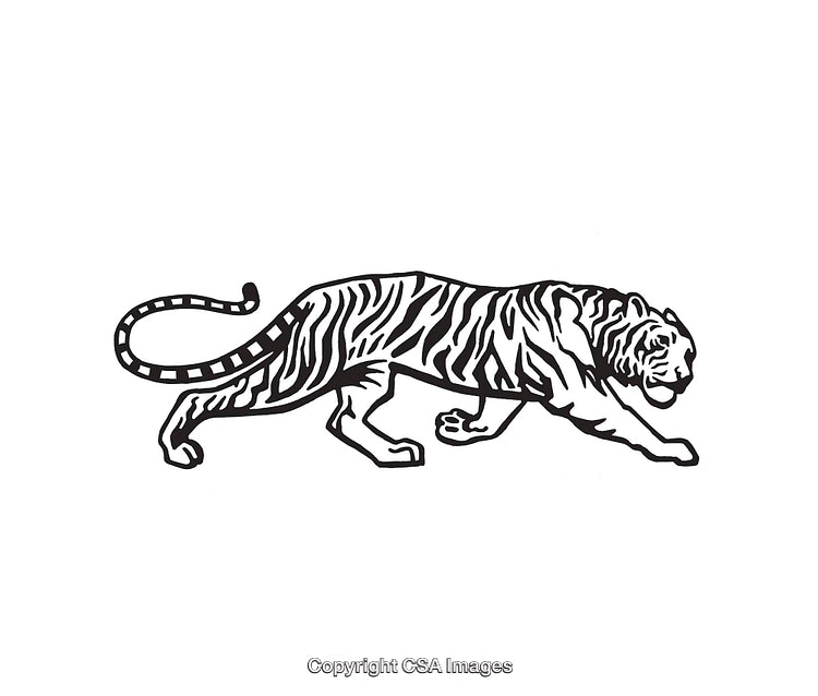 Black And White Line Art Illustration of a Tiger in Motion