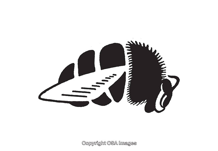 Black and White Line Art Illustration of a Stylized Insect Design