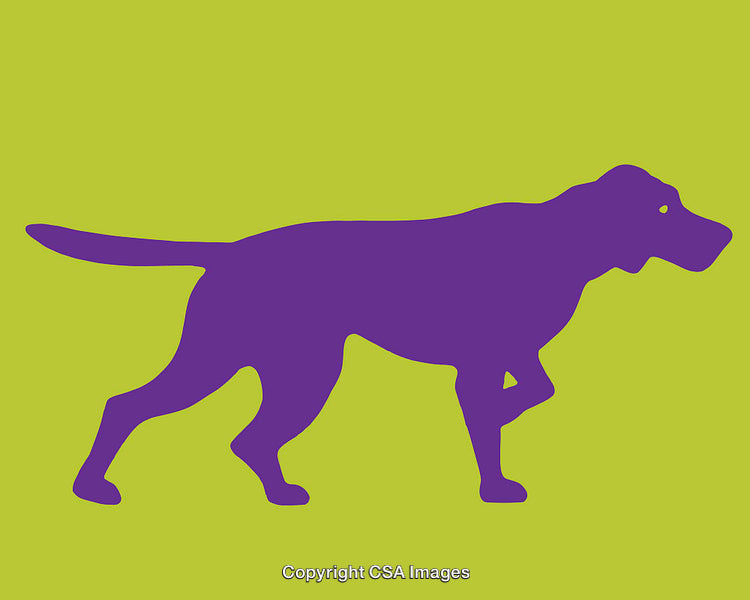 Purple Dog Silhouette on Bright Green Background Minimalist Art