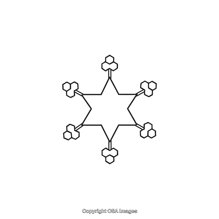Black And White Geometric Snowflake Symbolic Design
