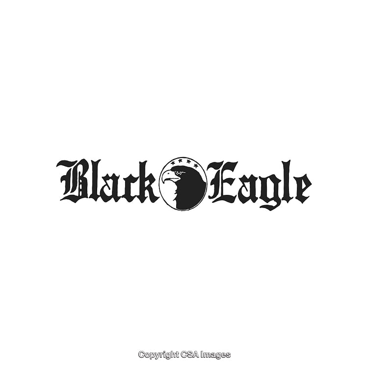 Stylized Black Eagle Logo with Bold Gothic Typography