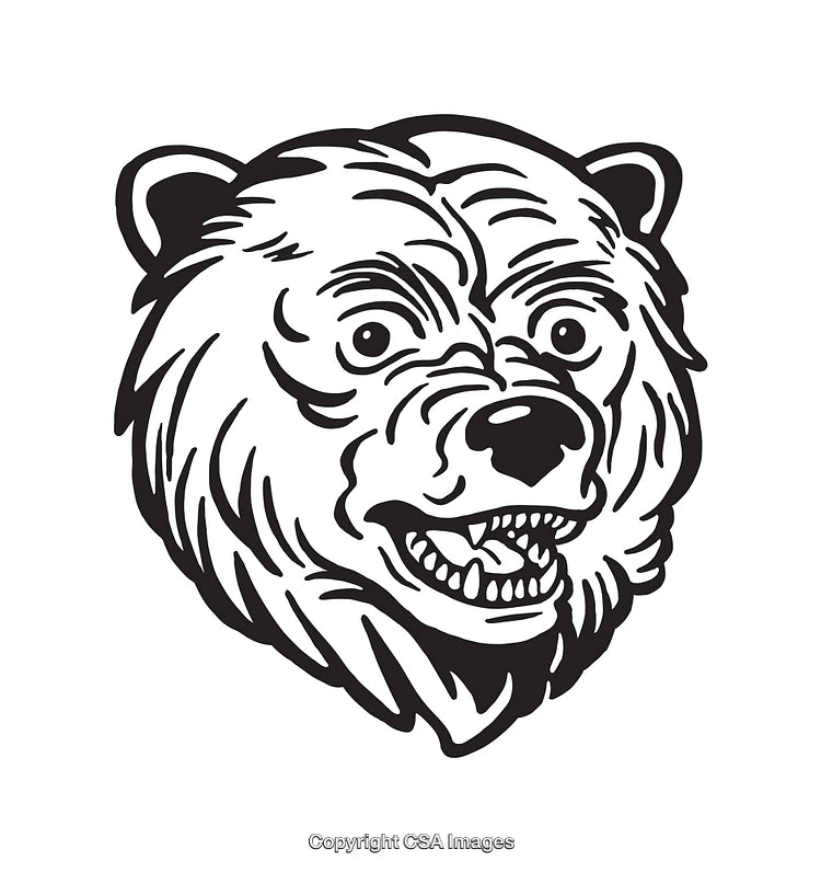 Detailed Black and White Illustration of a Fierce Bear Head