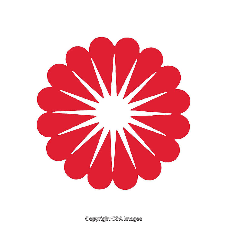 Red Radial Design with White Starburst on a Transparent Background