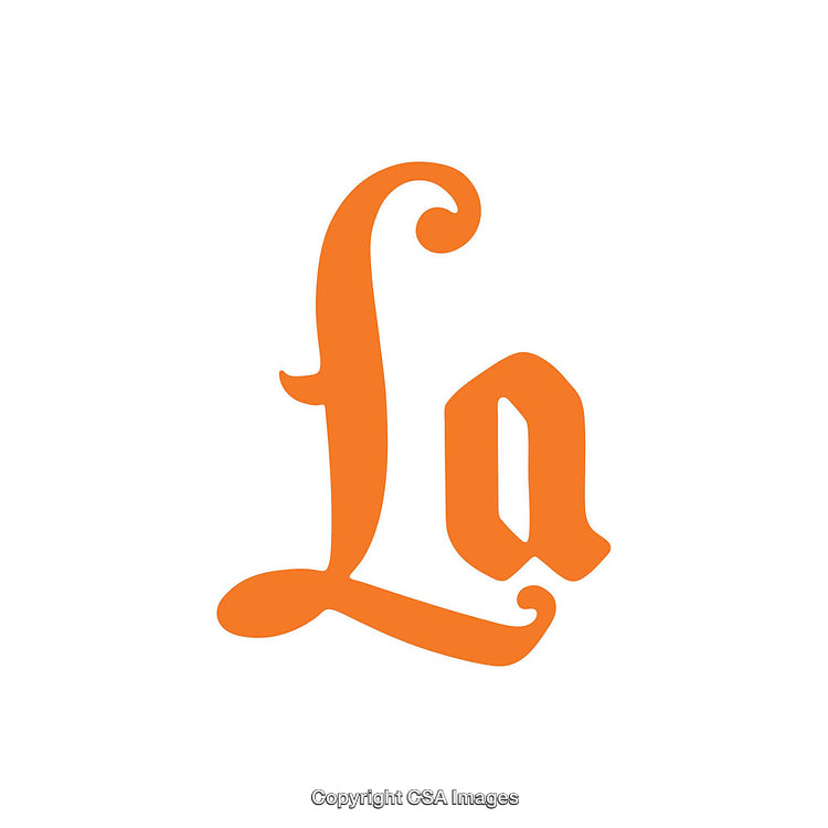 Stylized Orange Calligraphy Artwork on Clean White Background