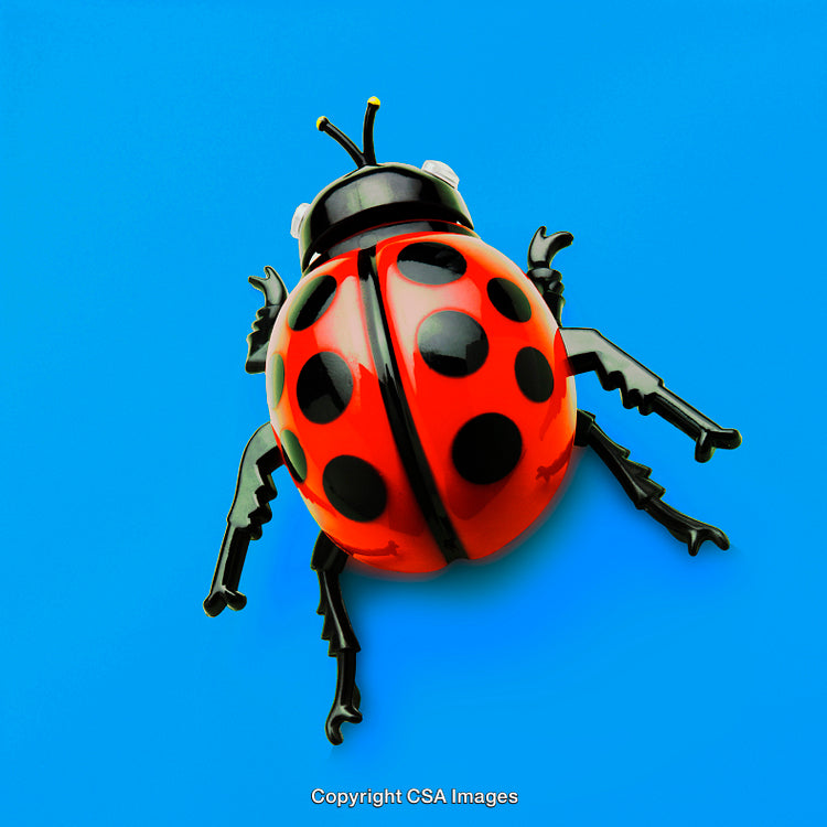 Bright Red Plastic Ladybug Toy on Vivid Blue Background