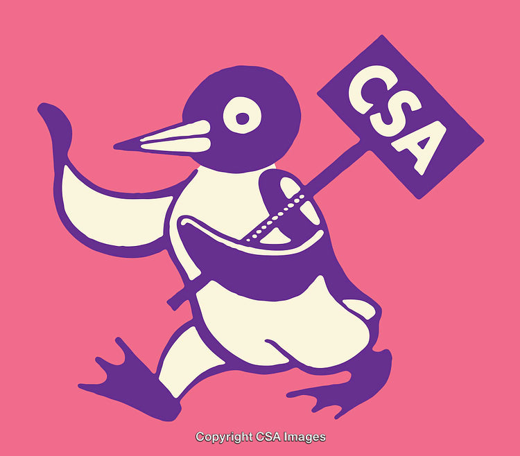 Illustration of a Penguin Holding a CSA Sign in Vibrant Colors