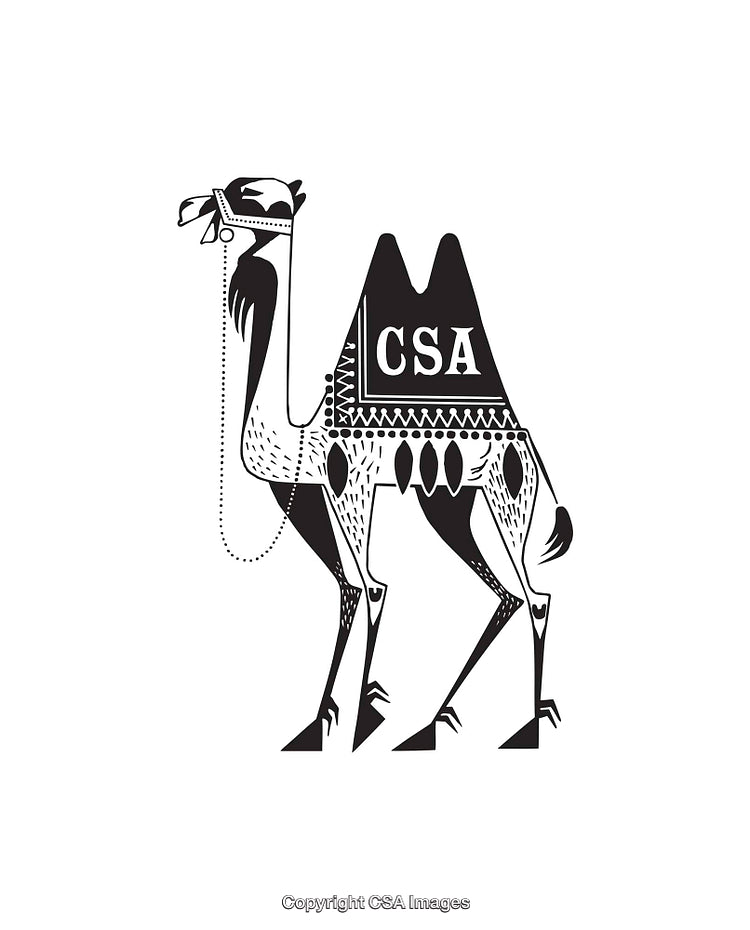 Detailed Black and White Illustration of a Stylized Decorated Camel