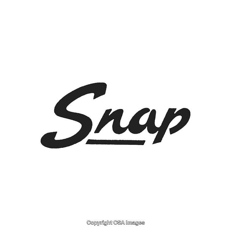 Minimalist Black Brush Script Text "Snap" On White Background