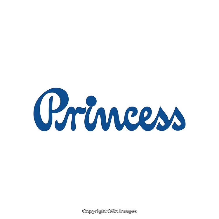 Stylized Princess Wording in Bold Blue on Plain White Background