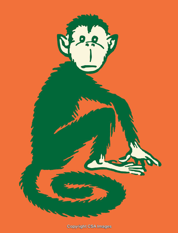 Green Monkey Illustration on Bright Orange Background with Artistic Design