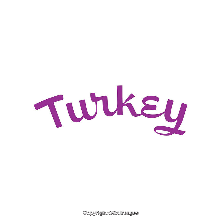 Purple Stylized Turkey Text on White Background with Elegant Font