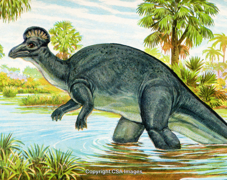 Illustration of a Hadrosaur Dinosaur in a Prehistoric Wetland Environment