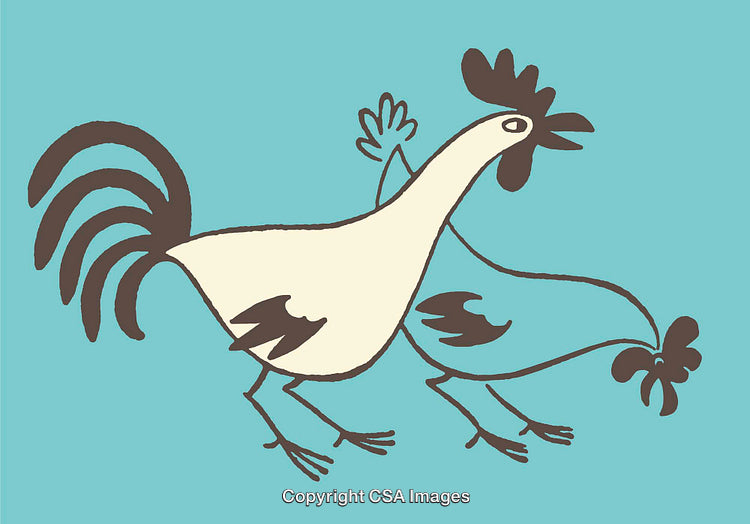 Playful Illustration of Two Chickens on a Light Blue Background