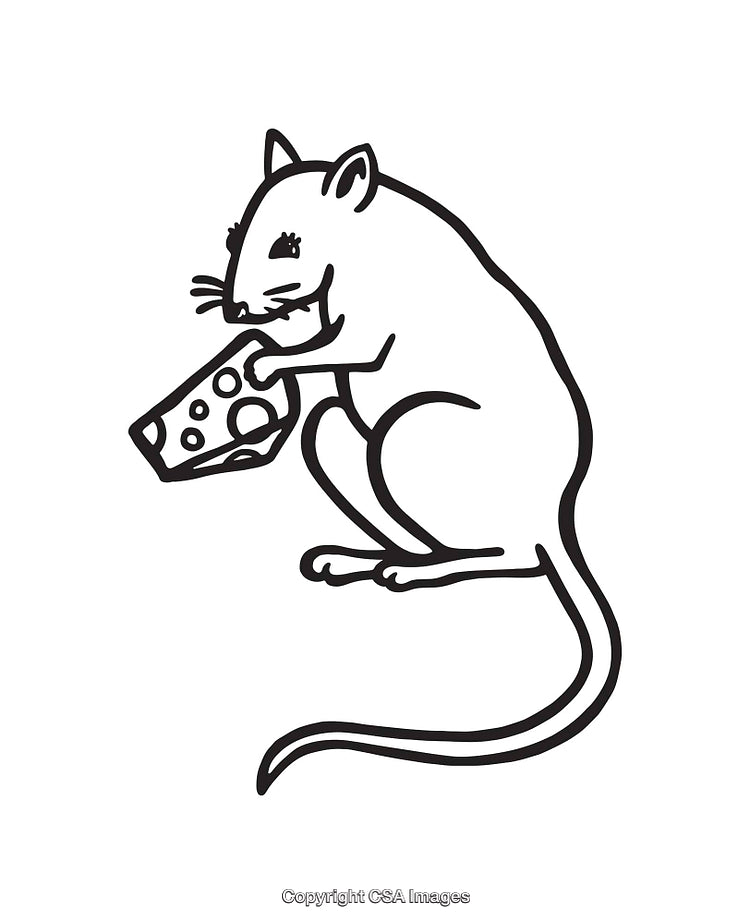 Black And White Line Art Illustration of a Mouse Holding Cheese