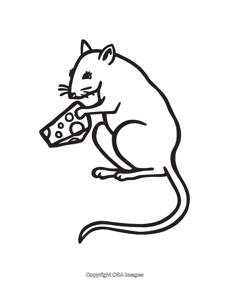 Black And White Line Art Illustration of a Mouse Holding Cheese