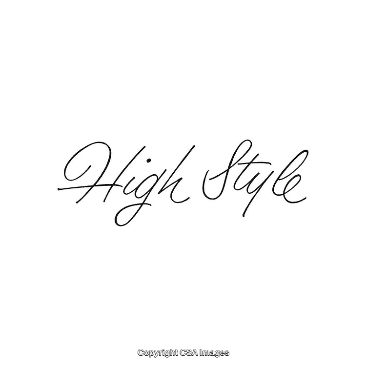 Elegant Handwritten Script Highlighting High Style in Minimalist Fashion