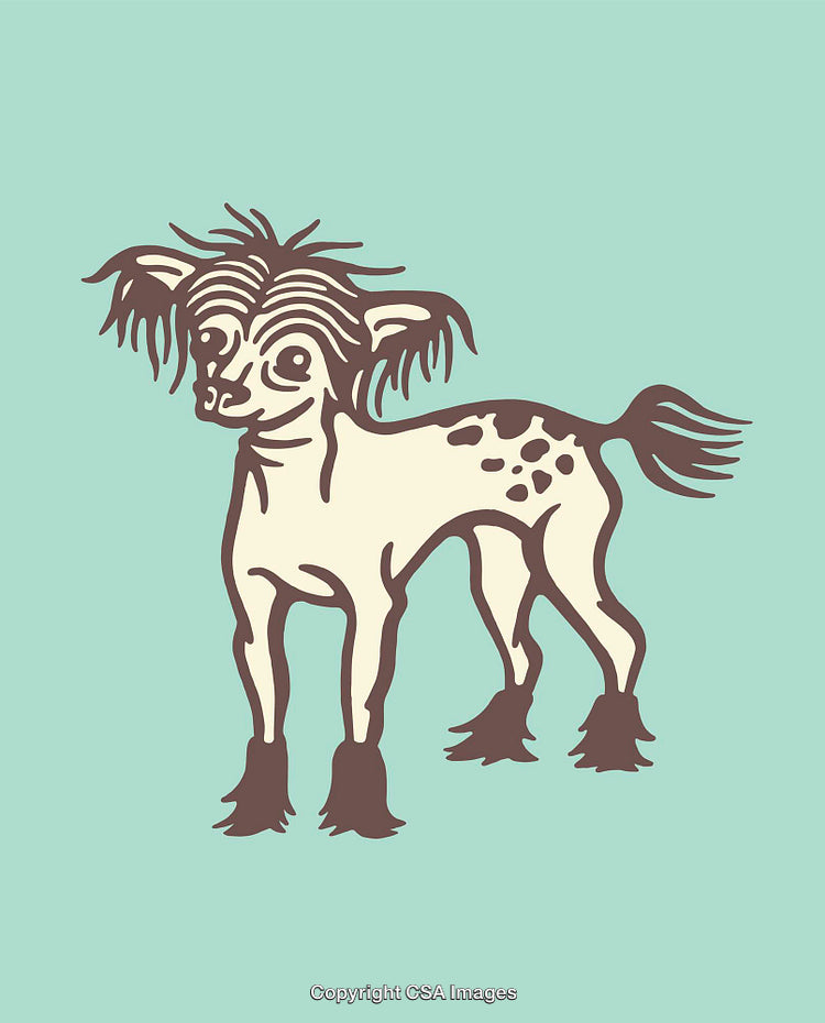Illustration of a Unique Dog Character in Line Art Style on Aqua Background