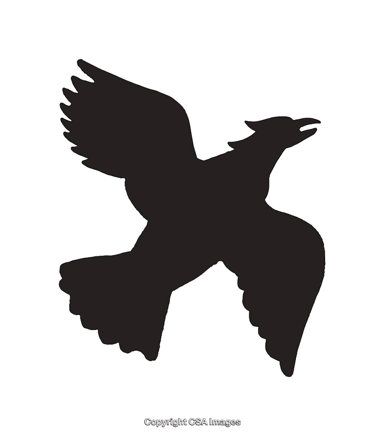 Silhouette of a Flying Bird Against a Solid White Background