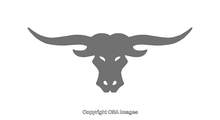 Simple Silhouette of Bull Head Icon with Long Angular Horns