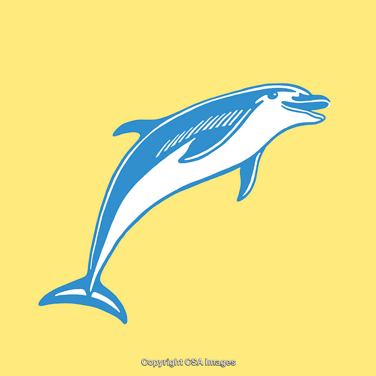 Colorful Line Art Illustration of Jumping Dolphin on a Yellow Background