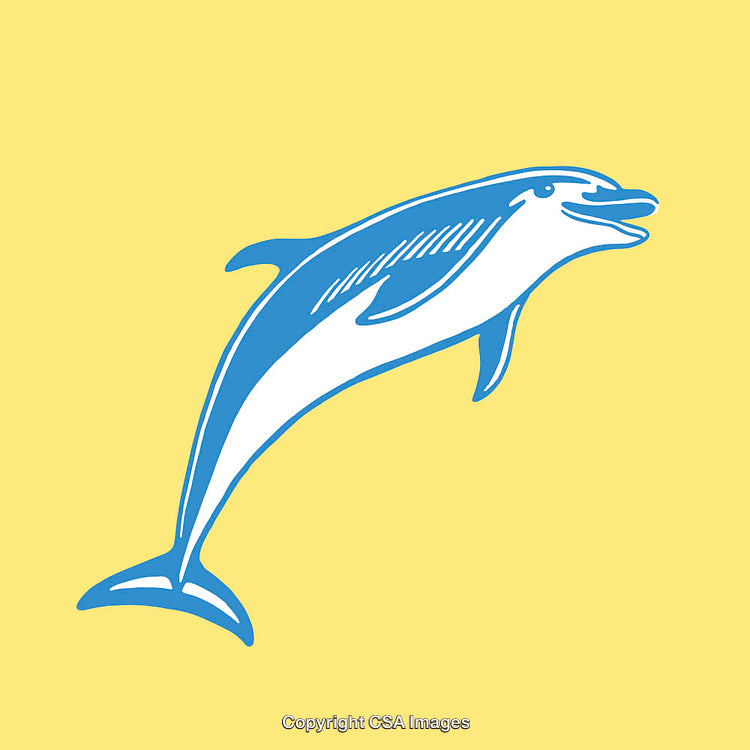 Colorful Line Art Illustration of Jumping Dolphin on a Yellow Background