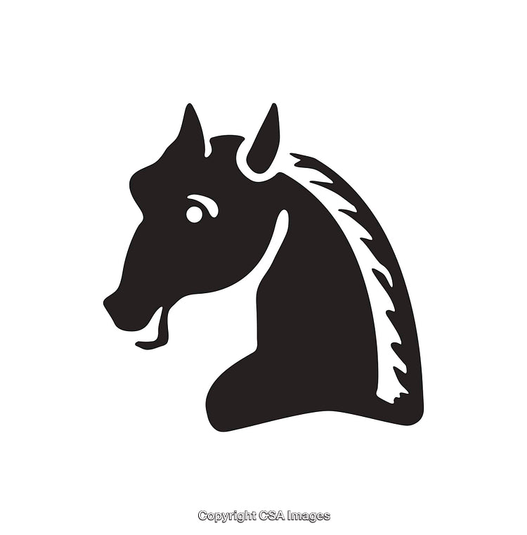 Black Silhouette Icon of a Horse Head on White Background