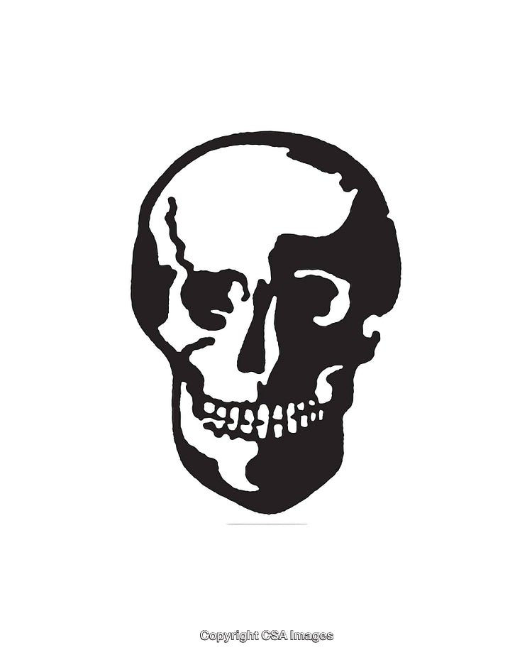 Black and White Illustration of a Skull with Emphasized Features