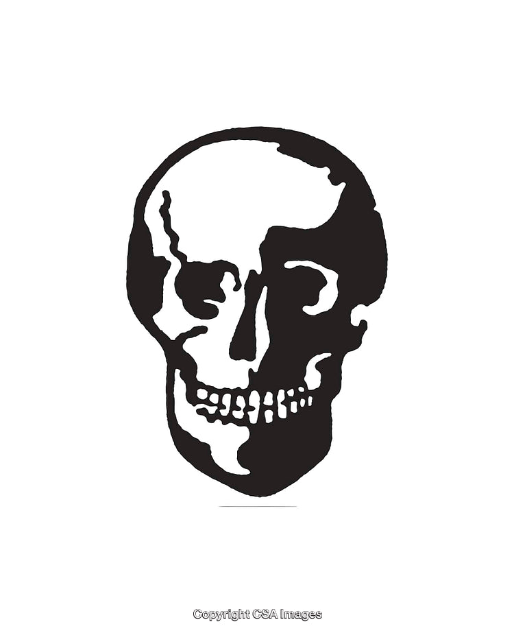 Black and White Illustration of a Skull with Emphasized Features