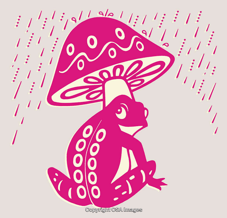 Vibrant Frog Sheltered by a Decorative Mushroom in Rainy Scene