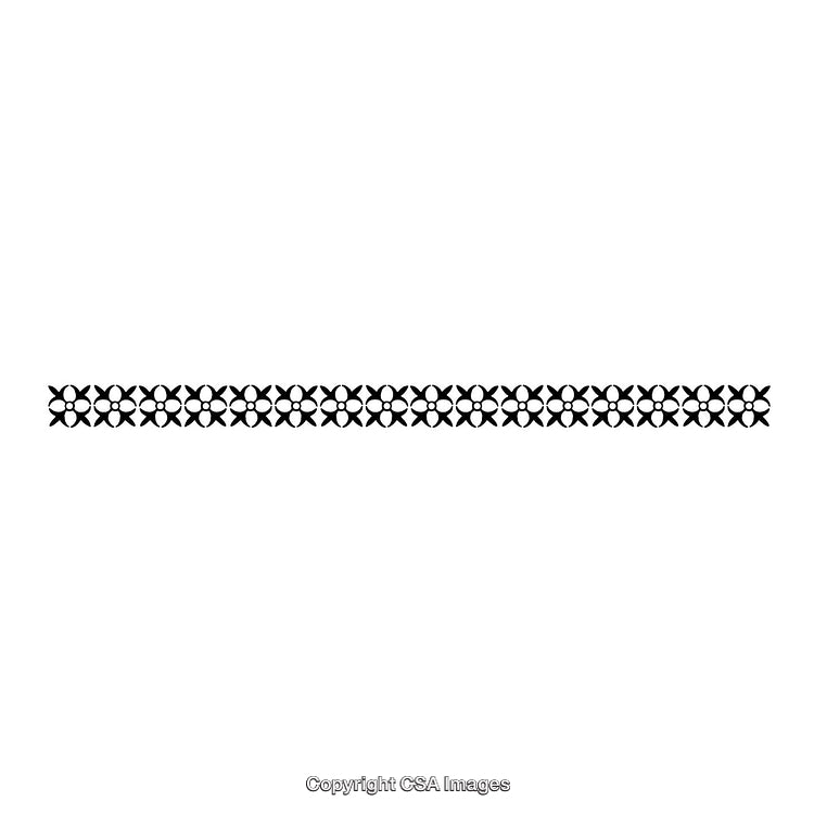 Intricate Black and White Decorative Border Isolated on White Background