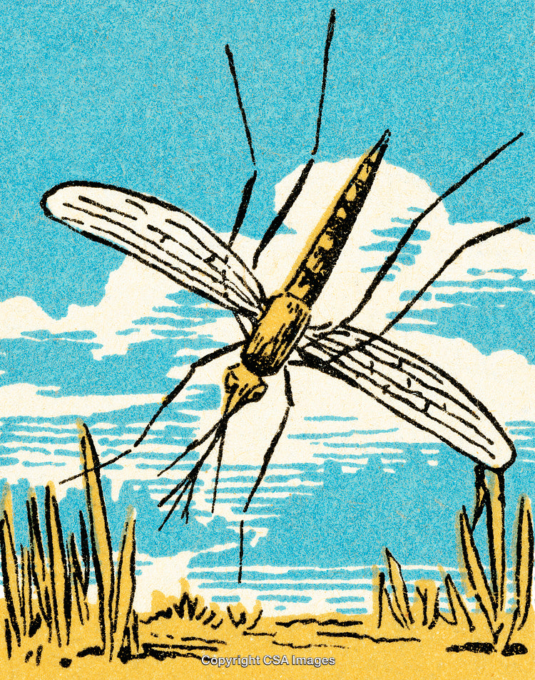 Illustrative Mosquito in Natural Habitat with Blue Sky Background