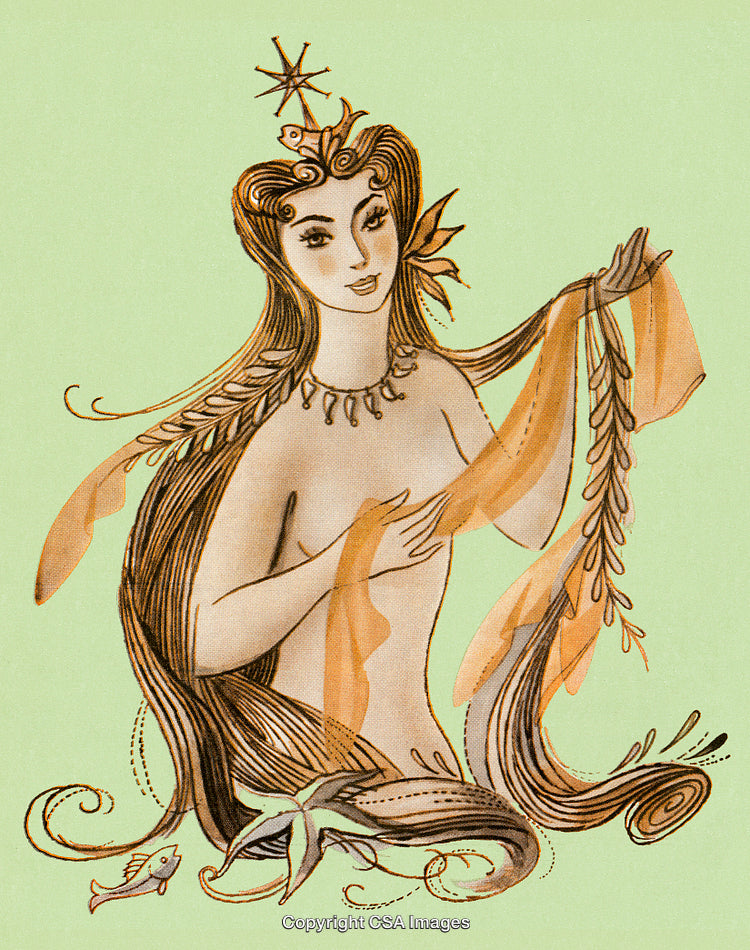 Illustration of a Graceful Mermaid with a Starfish and Sea Elements