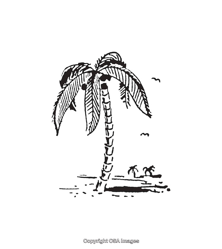 Black and White Illustration of a Palm Tree on a Beach