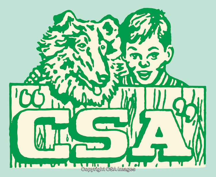 Illustrative Artwork Depicting Child, Dog, and Bold CSA Lettering in Green Hue