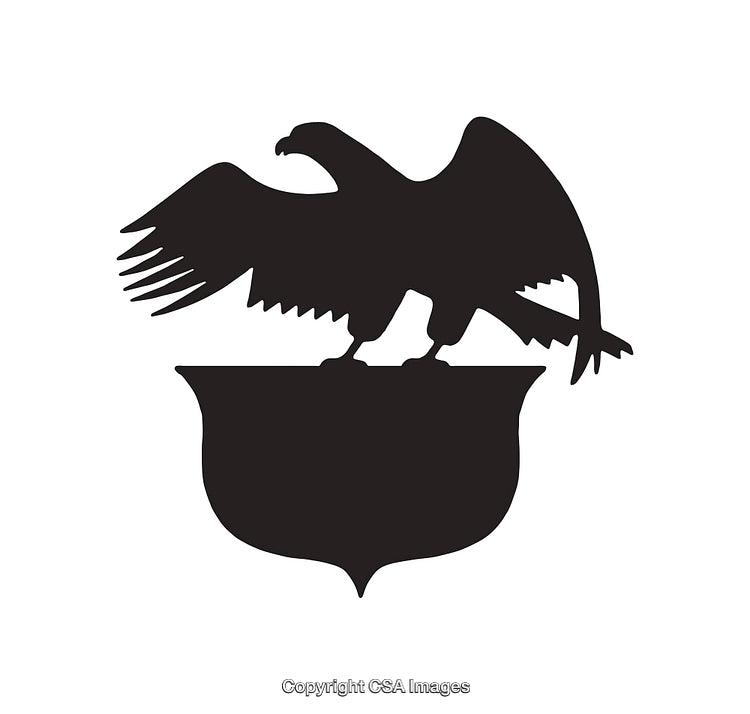Silhouette of an Eagle Perched on a Shield Icon Design
