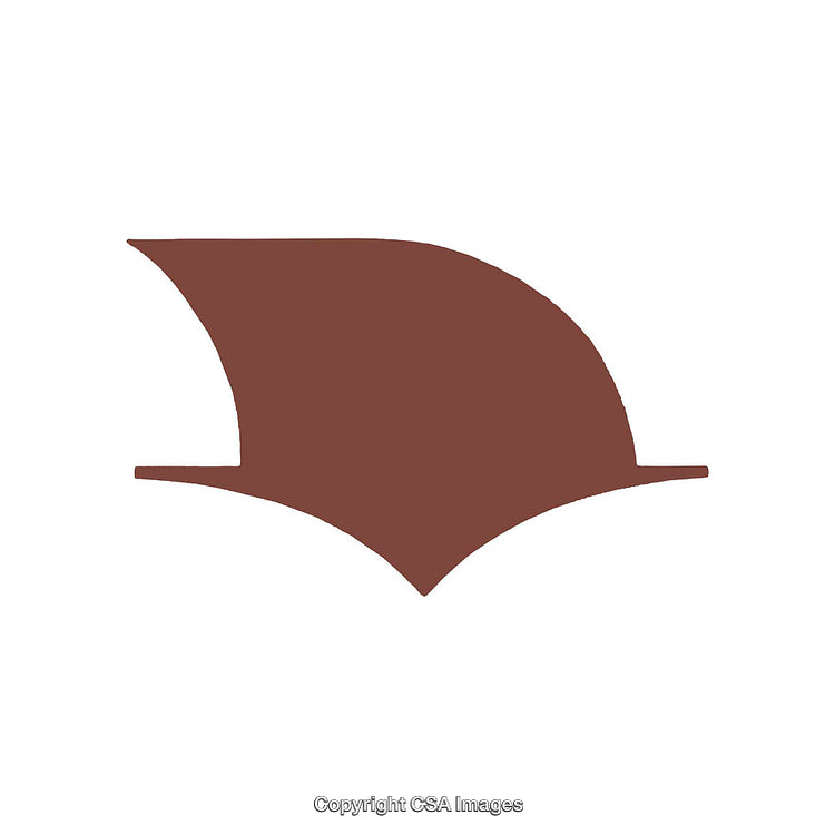 Abstract Brown Shape with Geometric Design Elements Isolated on White Background